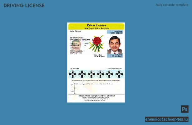 Beispiel für einen australischen Führerschein aus New South Wales